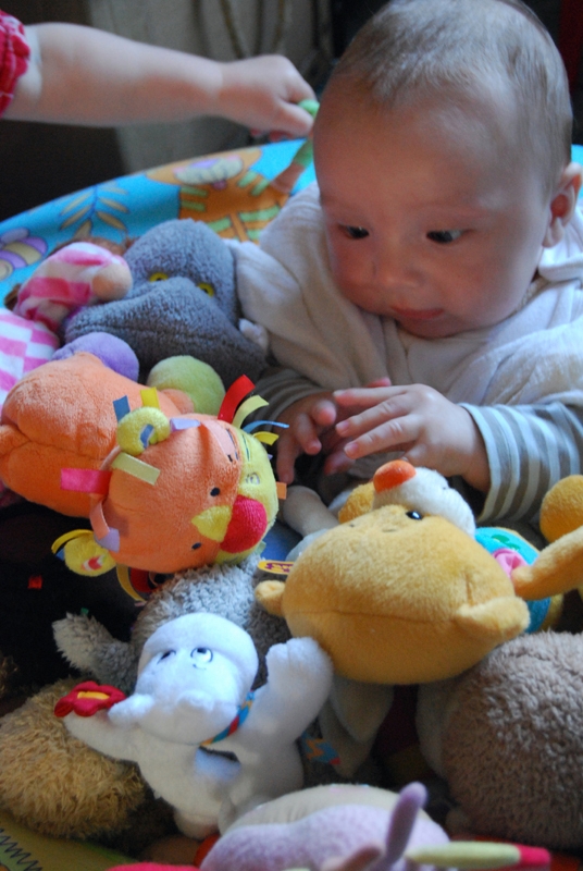 Conrad in playnest 2.jpg